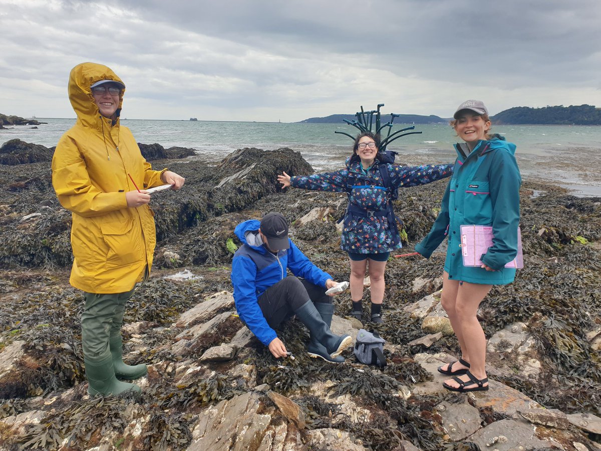 Cat Wilding tweet media