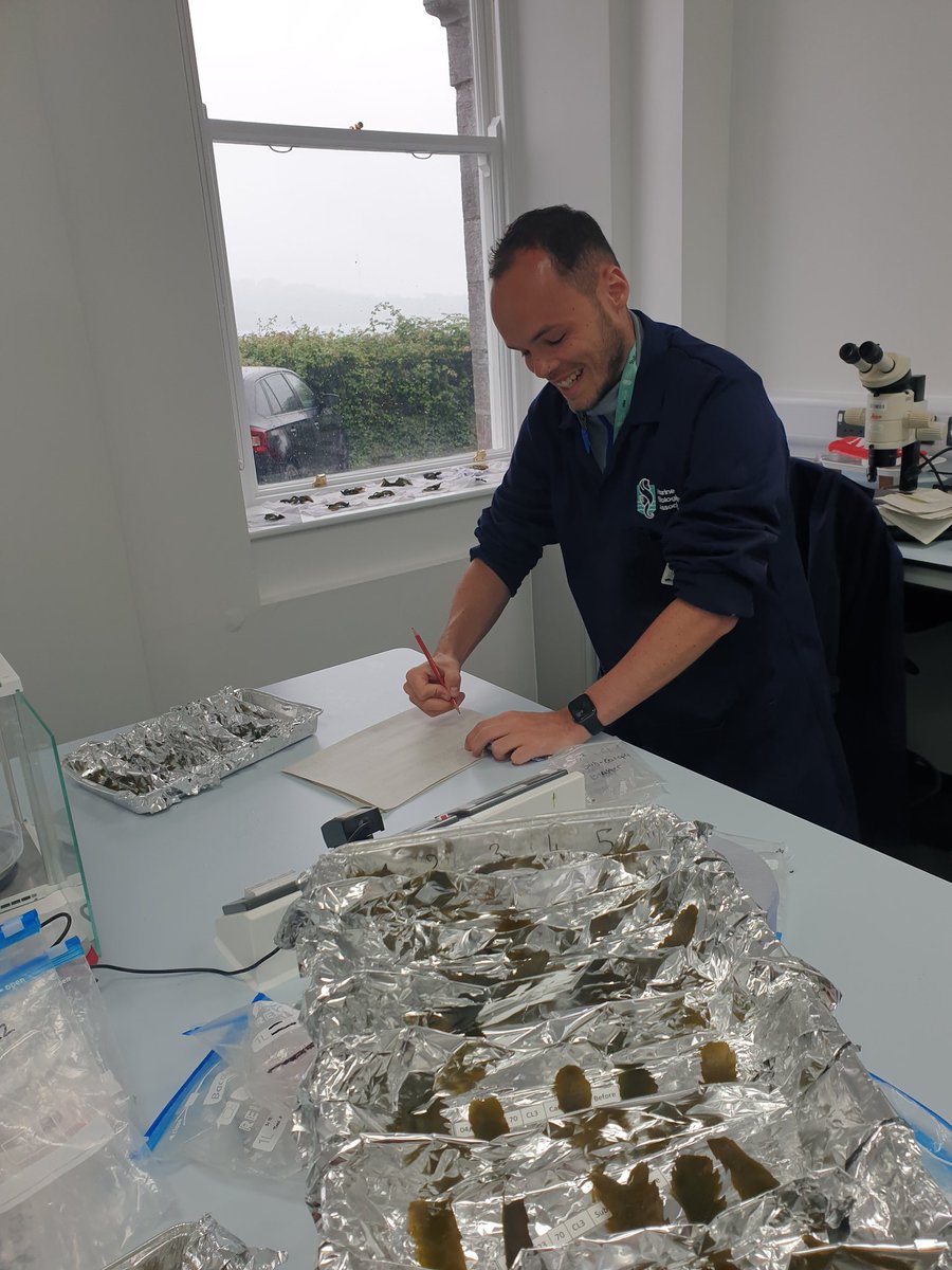 Cat Wilding tweet media