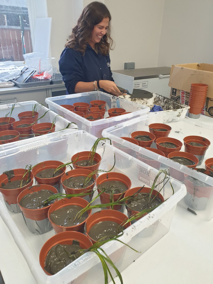 Cat Wilding tweet media