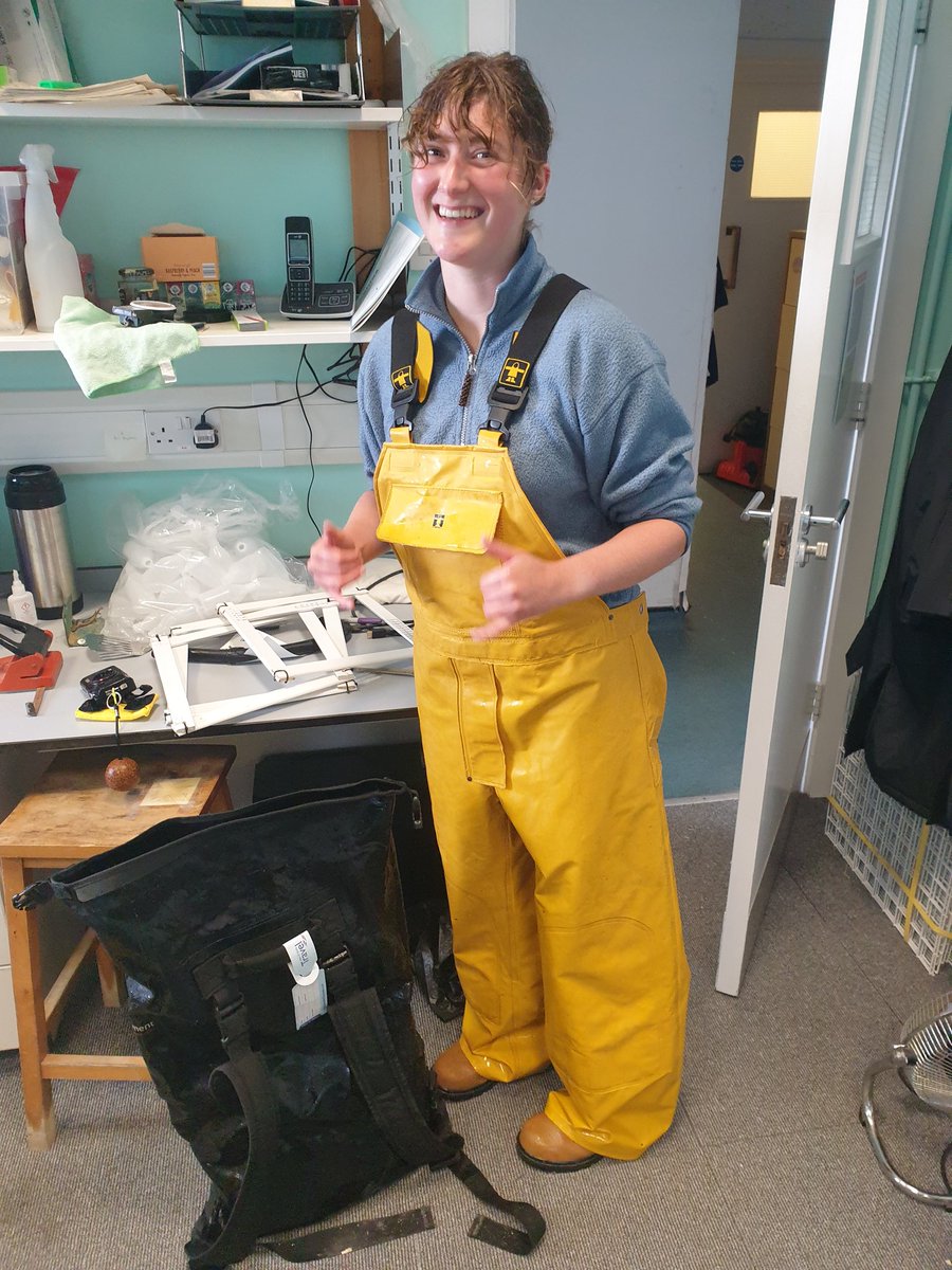 Cat Wilding tweet media