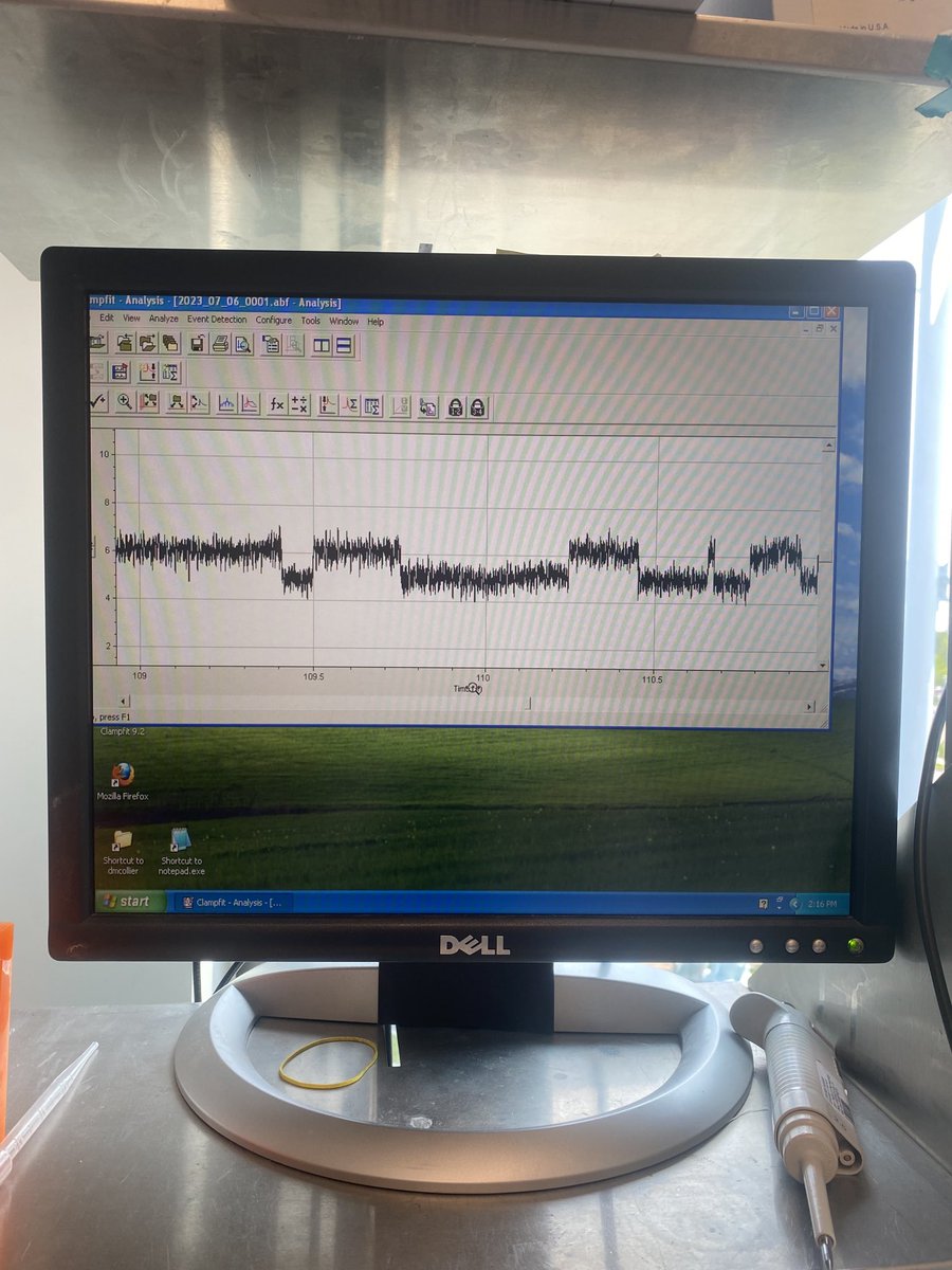 emily_liman's tweet photo. I don't usually post personal news, but my F1 got a single channel recording in ⁦@NelsonLab1⁩! What is it - Trp channel? K channel? Piezo? https://t.co/8Ej9IVE0NH