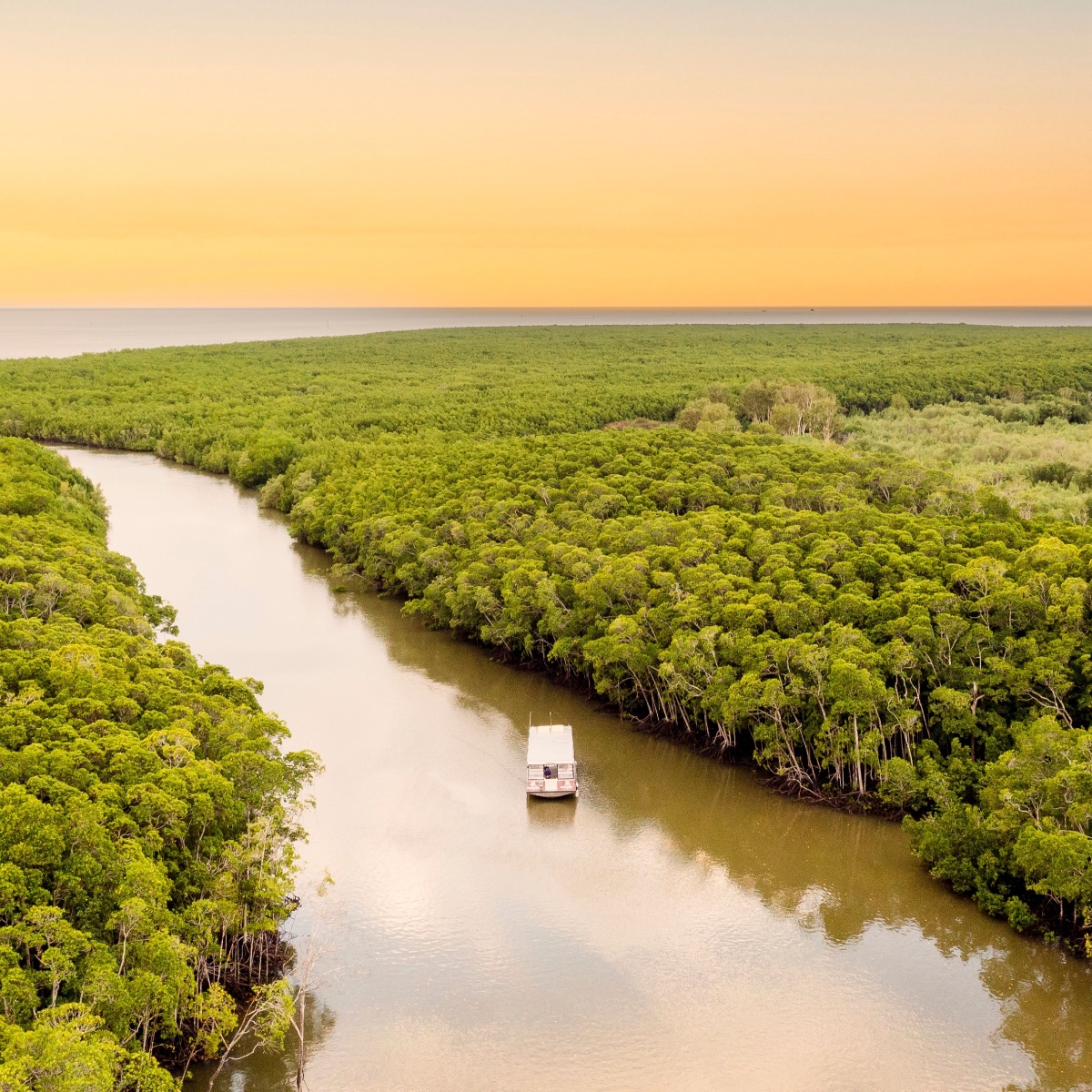 We're green with envy over this view of @Queensland 🍃💚 This @naidocweek, we're heading to @CairnsGBR to join Mandingalbay Authentic Indigenous Tours on Country. #seeaustralia #comeandsaygday