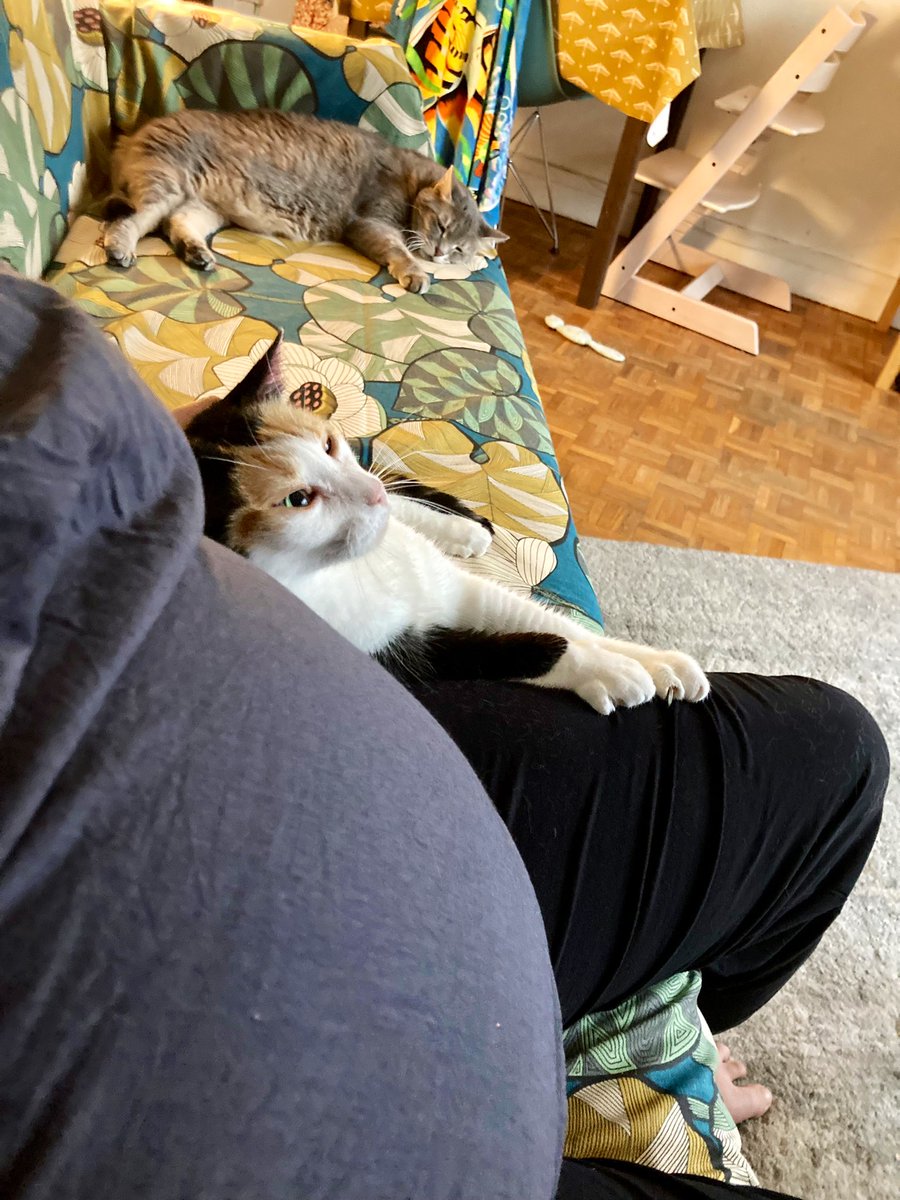 leschafouines's tweet photo. Elle va ixploser ou quoi ?? Ça a l’air dangereux https://t.co/EDnCT4yY1n