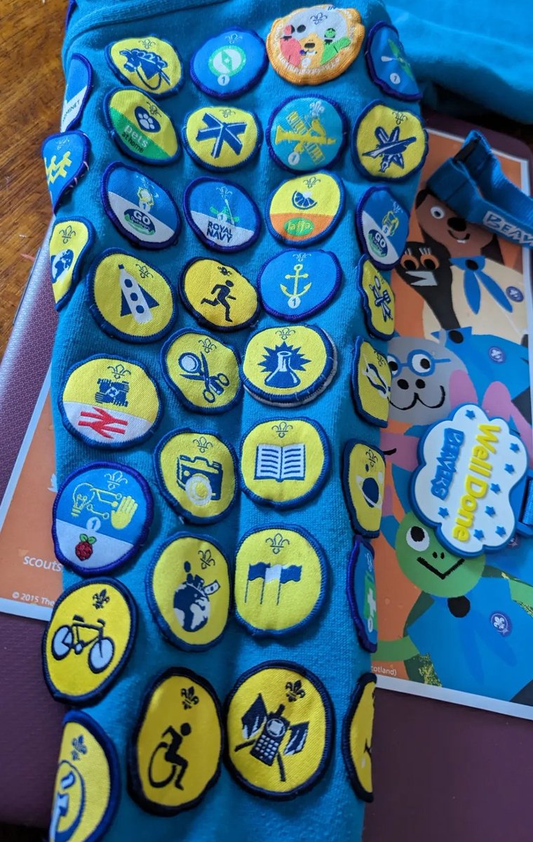 Invested on zoom in her bedroom, our last "COVID beaver" is now a cub, after achieving all activity badges, 12 staged badges and a bronze award. Yes she's my own, but she's worked her tiny butt off for them all ♥️☺️⚜️ #brscouts #skillsforlife #beaverscout #44thburyROBOT <a href="/scouts/">Scouts</a>