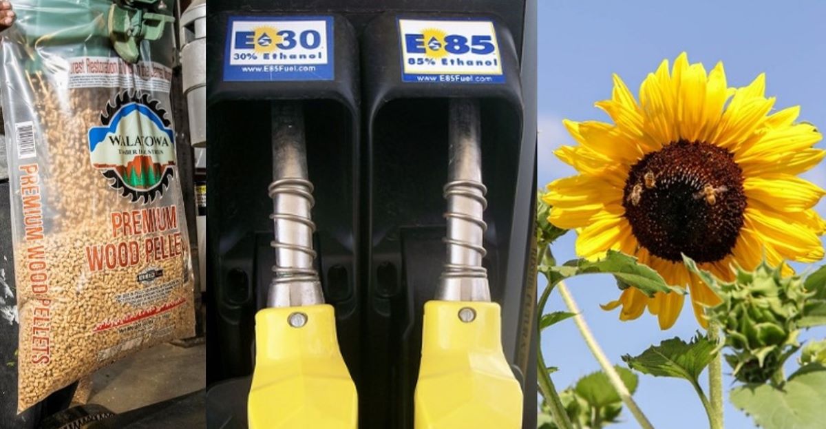 USDA's tweet image. USDA is developing a biomass supply chain plan to support the U.S. bioeconomy! Share your ideas during a public listening session. For more information and to register: zoomgov.com/webinar/regist…