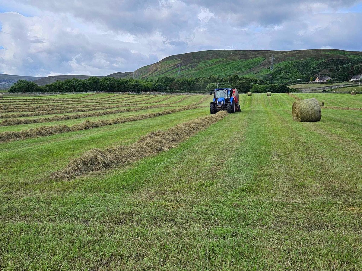 ClynelishFarm's tweet photo. Busy day here.
Silage baled, next field rowed up & started on too until the rain arrived 🚜🌧️
Sheep out, cattle in #leaderfollower #rotation 😍
And a few hours wasted trying to find a fault without a "misplaced" fault finder 🙄😭 https://t.co/7LuQKjvDs8