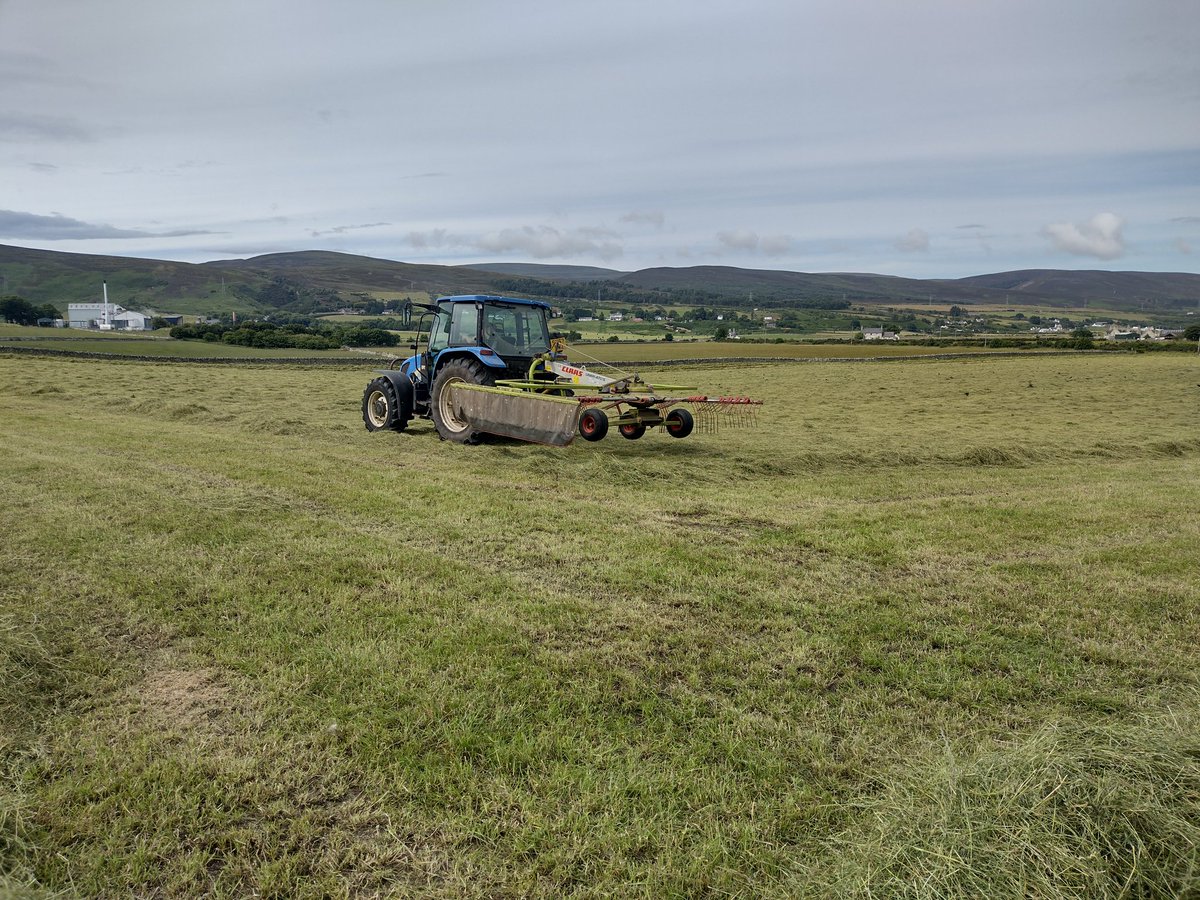 ClynelishFarm's tweet photo. Busy day here.
Silage baled, next field rowed up & started on too until the rain arrived 🚜🌧️
Sheep out, cattle in #leaderfollower #rotation 😍
And a few hours wasted trying to find a fault without a "misplaced" fault finder 🙄😭 https://t.co/7LuQKjvDs8
