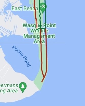 TheTrusteesMV's tweet image. #PIPLittle chick alert! New OSV restrictions at Leland Beach. Cape Poge OSV access remains the same.