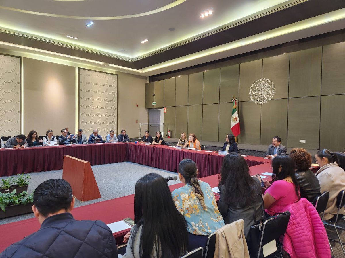 SIPINNA_MX's tweet photo. #México hace frente a la problemática que presentan las #niñas, #niños y #adolescentes con referente privado de la libertad, mejor conocidos como #NNAPES: Constanza Tort San Román, encargada del despacho de la Secretaría Ejecutiva del #Sipinna nacional. https://t.co/L861KlDk46