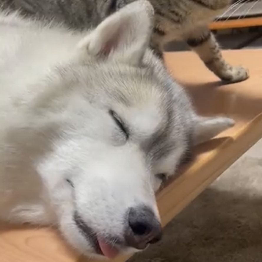 ᅠ  

ᅠᅠ           Me recuerda a alguien. 
ᅠ

ᅠ