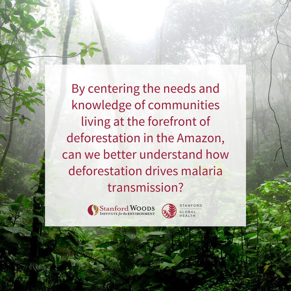 A new #GlobalHealth Seed Grant, co-funded with <a href="/StanfordWoods/">Stanford Woods Institute</a>, aims to measure community-centered solutions for better human health and forest conservation in the Amazon rainforest. @HIHNGO <a href="/DrEloiseSkinner/">Eloise Skinner</a> <a href="/morde/">Erin Mordecai</a> <a href="/ninafinley/">Nina Finley</a> globalhealth.stanford.edu/research/annou…