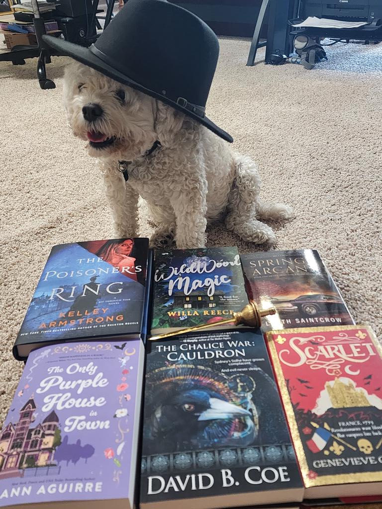 Ginger informed me that it's been too long since she's posed with new books! Please enjoy The Poisoner's Ring by @KelleyArmstrong, Wildwood Magic by Willa Reece, Spring's Arcana by @lilithsaintcrow, The Only Purple House in Town by @MsAnnAguirre (more)