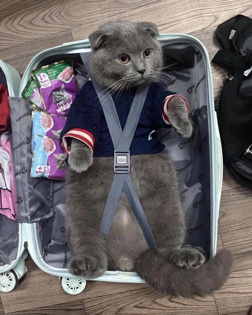 Nikola7417's tweet photo. К отпуску готов. https://t.co/MPa8m4xSOn