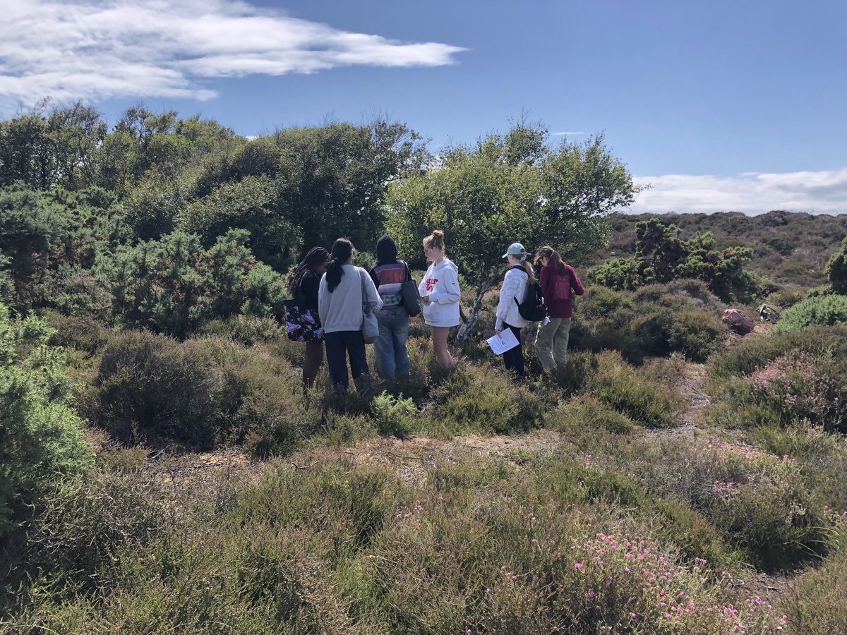 StSwithunsBio's tweet photo. L5 biologist had an amazing day of field work at Studland Bay! Learning about the adaptations of marram grass, heather and insectivorous sundews. #leesonhouse #itswhoweare #L5pupils https://t.co/AzpycnfaUy