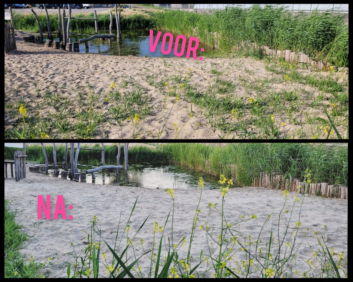 Natuurbelevings's tweet photo. De Bult is helemaal klaar voor de zomervakantie! Speelplekken, fruitveldjes 🍓, picknicktafels, rustkuil en bankjes 🛋 zijn weer netjes. De wilgentunnel is weer verstevigd 💪 en de vuurplaats 🔥 is weer goed zichtbaar. #vrijwilligers #DeBult #NieuweWetering https://t.co/mg2kqefEGR