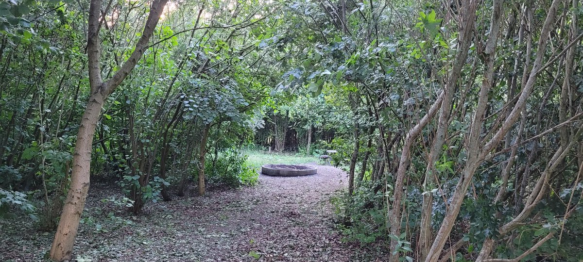 Natuurbelevings's tweet photo. De Bult is helemaal klaar voor de zomervakantie! Speelplekken, fruitveldjes 🍓, picknicktafels, rustkuil en bankjes 🛋 zijn weer netjes. De wilgentunnel is weer verstevigd 💪 en de vuurplaats 🔥 is weer goed zichtbaar. #vrijwilligers #DeBult #NieuweWetering https://t.co/mg2kqefEGR