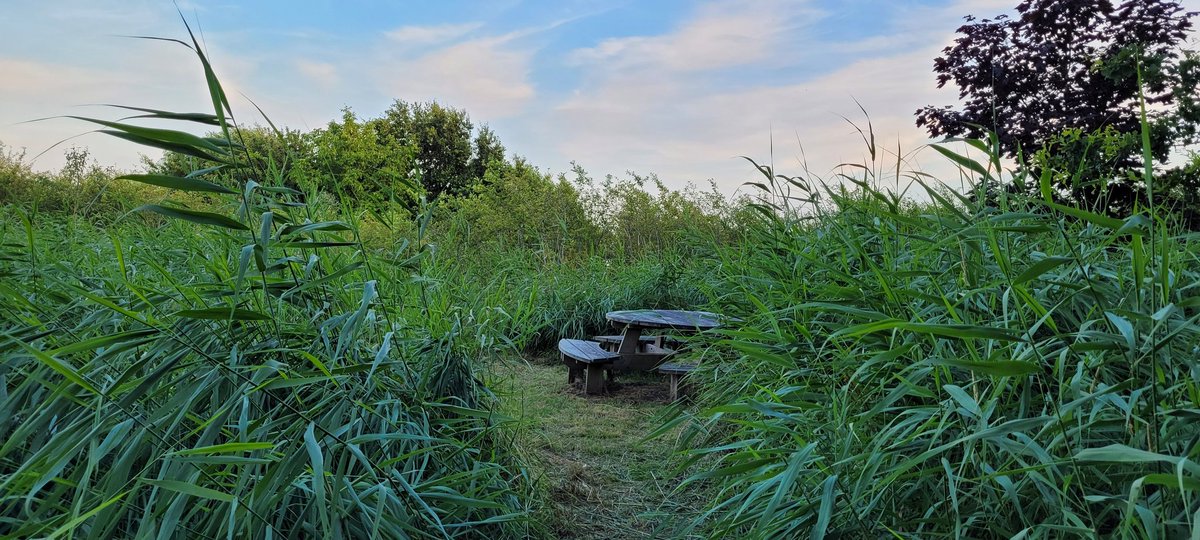 Natuurbelevings's tweet photo. De Bult is helemaal klaar voor de zomervakantie! Speelplekken, fruitveldjes 🍓, picknicktafels, rustkuil en bankjes 🛋 zijn weer netjes. De wilgentunnel is weer verstevigd 💪 en de vuurplaats 🔥 is weer goed zichtbaar. #vrijwilligers #DeBult #NieuweWetering https://t.co/mg2kqefEGR