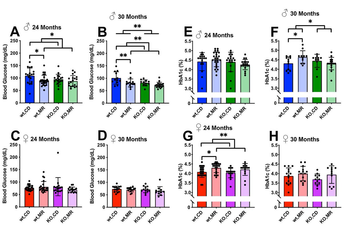 GeroScienceAGE's tweet photo. 📢New in GeroScience
Sexually dimorphic effects of methionine sulfoxide reductase A (MsrA) on murine #longevity and #healthspan during #methioninerestriction by Kevin M. Thyne &amp; Adam B. Salmon.
https://t.co/Y5NJXXBIFo
@UTHealthSA 
#frailty #glucosemetabolism https://t.co/apnGh0iXh5