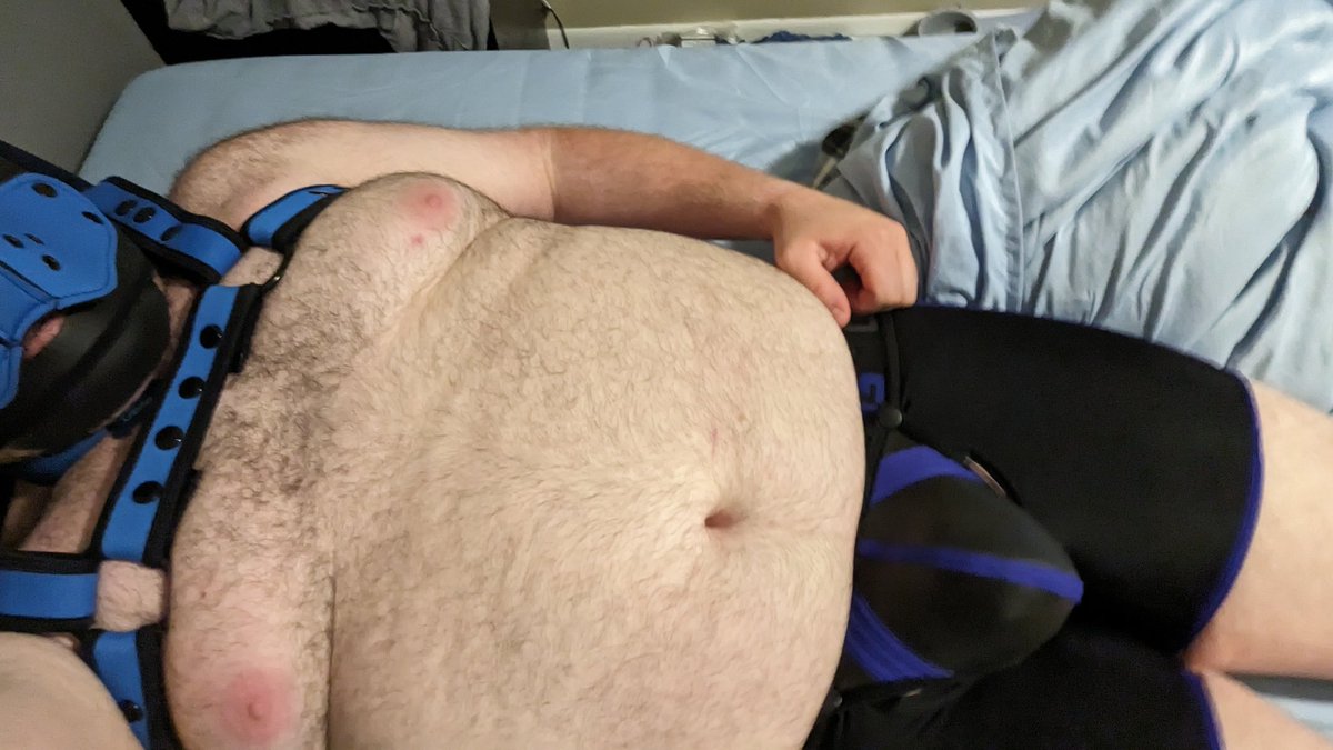 BluepupGeae's tweet photo. I've moved to the bed now. These are some new undies I got. Hehehehe. https://t.co/hfW051ZvK4