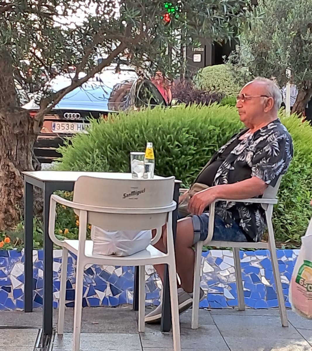 Jubilado, panza, camisa hawaiana, gafas de sol 100% puteras, gyntonic a las 19:54. Por si era poco el camarero le pregunta cuándo para de echar la ginebra, a lo que responde con un suave movimiento de mano indicando "sigue, sigue" mientras mantiene la mirada fija en la nada.