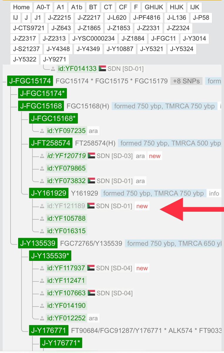 جزيل الشكر و العرفان للباشمهندس وائل محمد <a href="/WaelMohamed_/">Wael Mohamed</a> و الدكتور وليد الشيخ لتفضلهم بترقية نتيجة في غاية الأهمية في الفاميلي تري و إدخالها للواي فل و هي لذرية إدريس بن الأمير محمد البدير جد قبيلة البديرية ذات الموروث الجعلي العباسي و ظهرت على الفرع FTC77933 المتفرع من السلالة J1