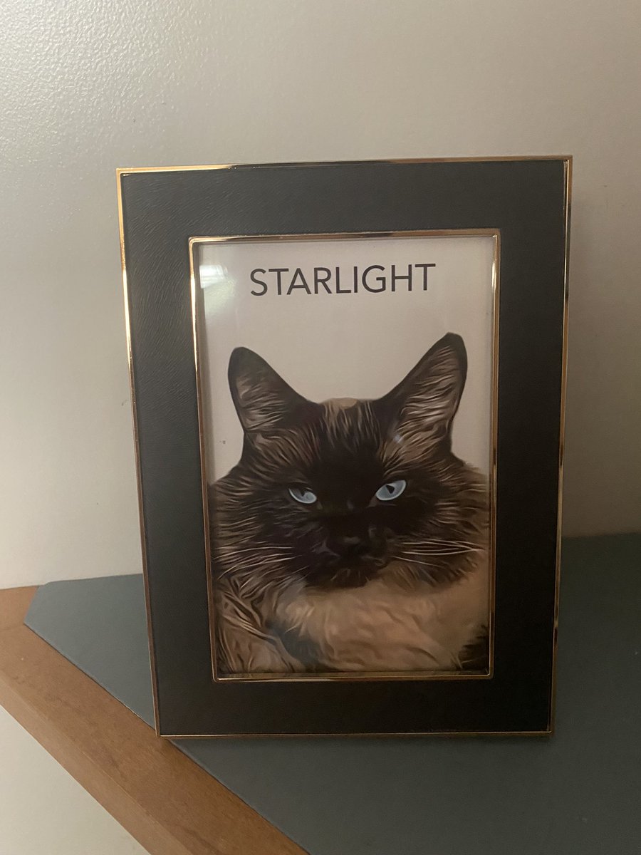 My coworker just sent me this framed picture of Starlight 🥹 such a sweet surprise! 🙏🏽❤️