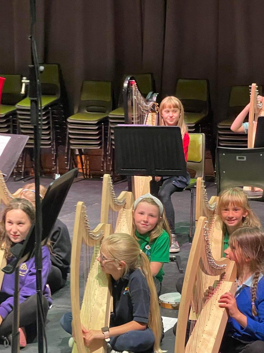 Ysgol DyffrynCledlyn tweet media