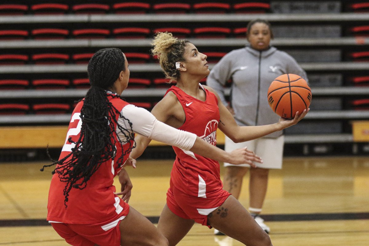 Youngstown State WBB🐧 tweet media