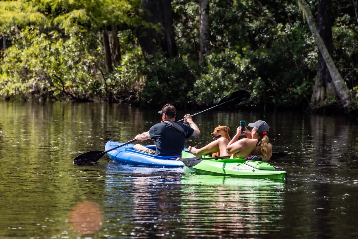 FlGuestDrctry's tweet photo. DiscoveringLifeInYourCityMagazine coming soon We connect you with places of interest, amazing parks, exciting events, restaurants, and hotels, in #Tallahassee and #LeonCo. More updates coming soon. Explore #Tallahassee, #TLH, #DiscoveringLifeInYourCity, #DLYC, #ExploreTLH, #FGD https://t.co/E9rI7d1wtX