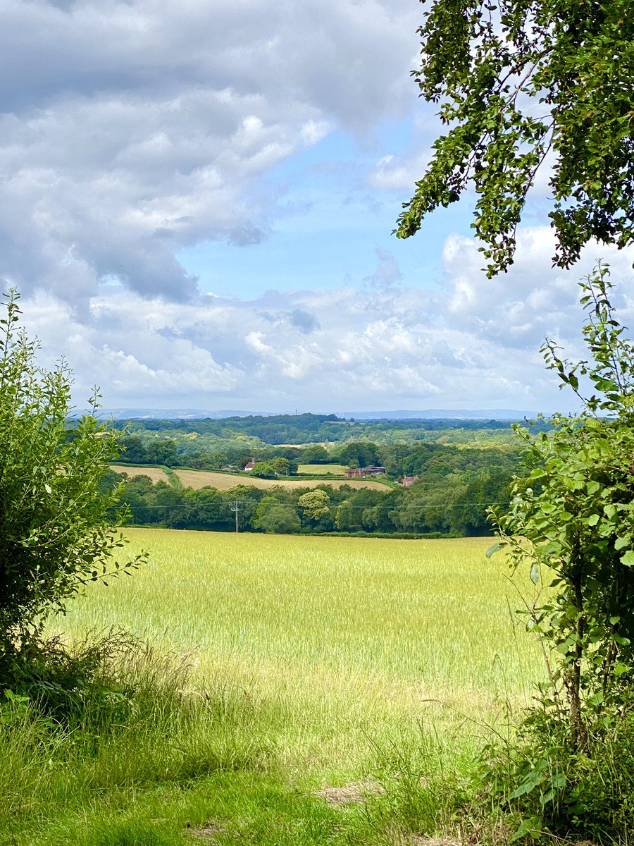 Delirious_Dater's tweet image. On my work travels today. Too good not to share. My ever changing office view is pretty good right?  #nature #dayjob #Sussex