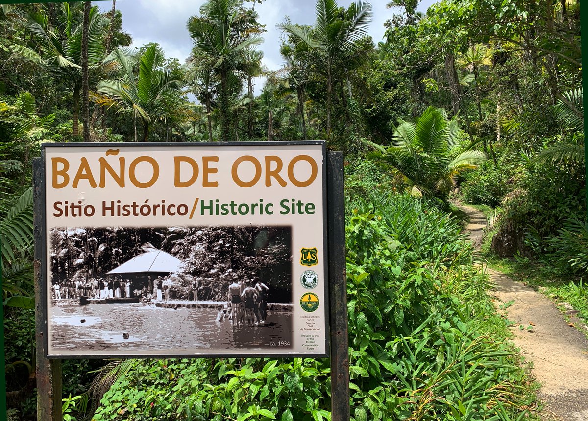 El Yunque NF tweet media