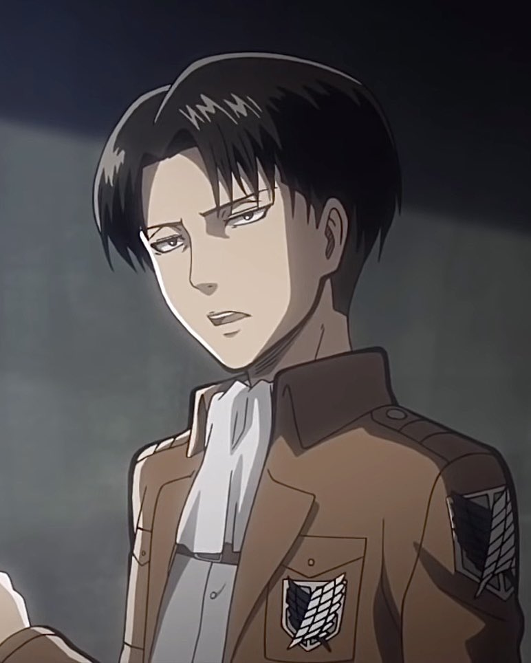 levi archives tweet media