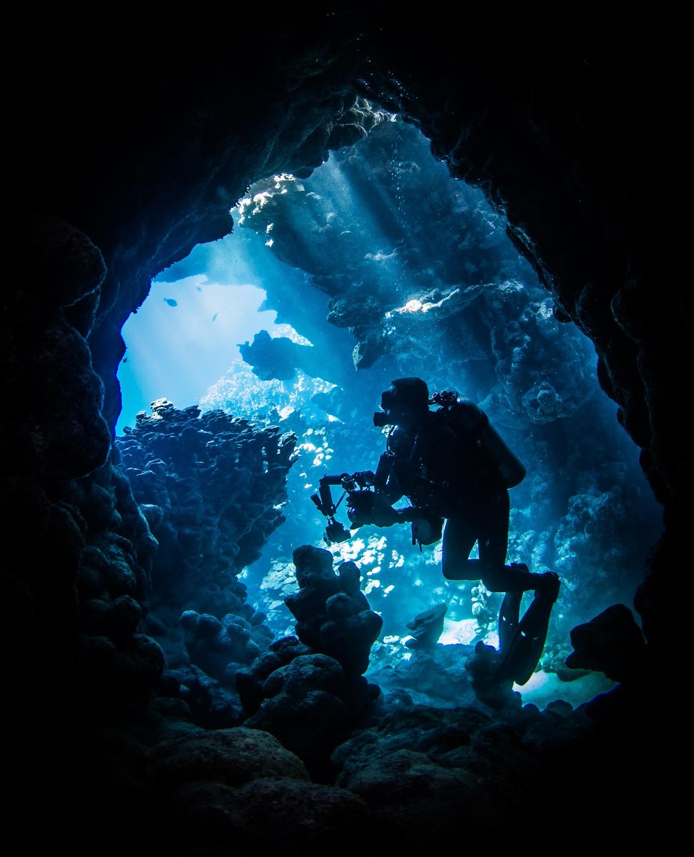 Ikelite Photo Guru Steve Miller chases the elusive light ray and teaches us how to manufacture some of that magic on our own: ikelite.com/blogs/advanced…