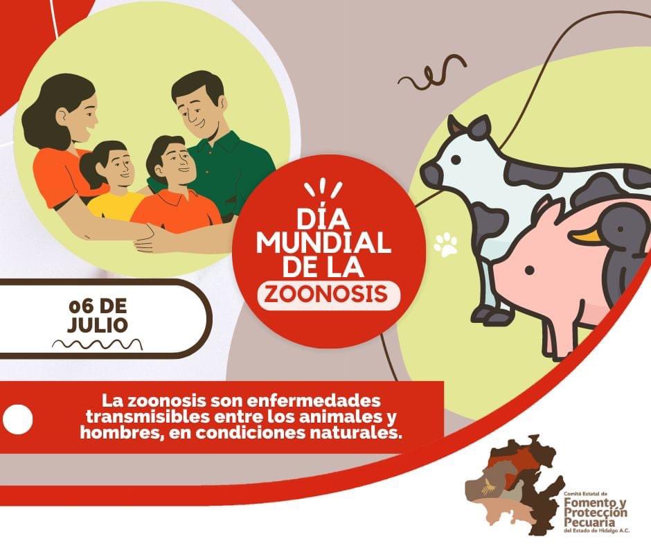cefpphidalgo's tweet image. El Comité realiza acciones contra las enfermedades de Tuberculosis Bovina, Brucelosis en los animales y Rabia en bovinos y especies ganaderas, con la finalidad de detectarlas oportunamente y con ello, disminuir el riesgo de contagio hacia la población.