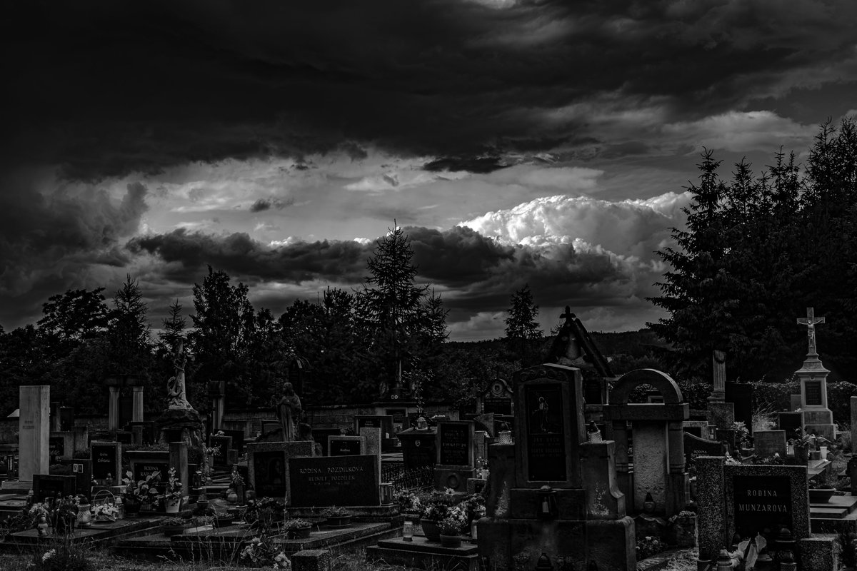 rvonvihar's tweet photo. 𝖙𝖎𝖒𝖊 𝖜𝖎𝖑𝖑 𝖙𝖊𝖑𝖑

#darkness #melancholy #photooftheday #blackandwhitephotography #graveyART https://t.co/xR6A5f9pVL