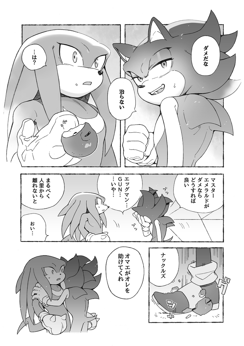 ダーク🔵×🔴のほのぼの逃避行漫画
※ソニナコ(1/2) #sonifes 