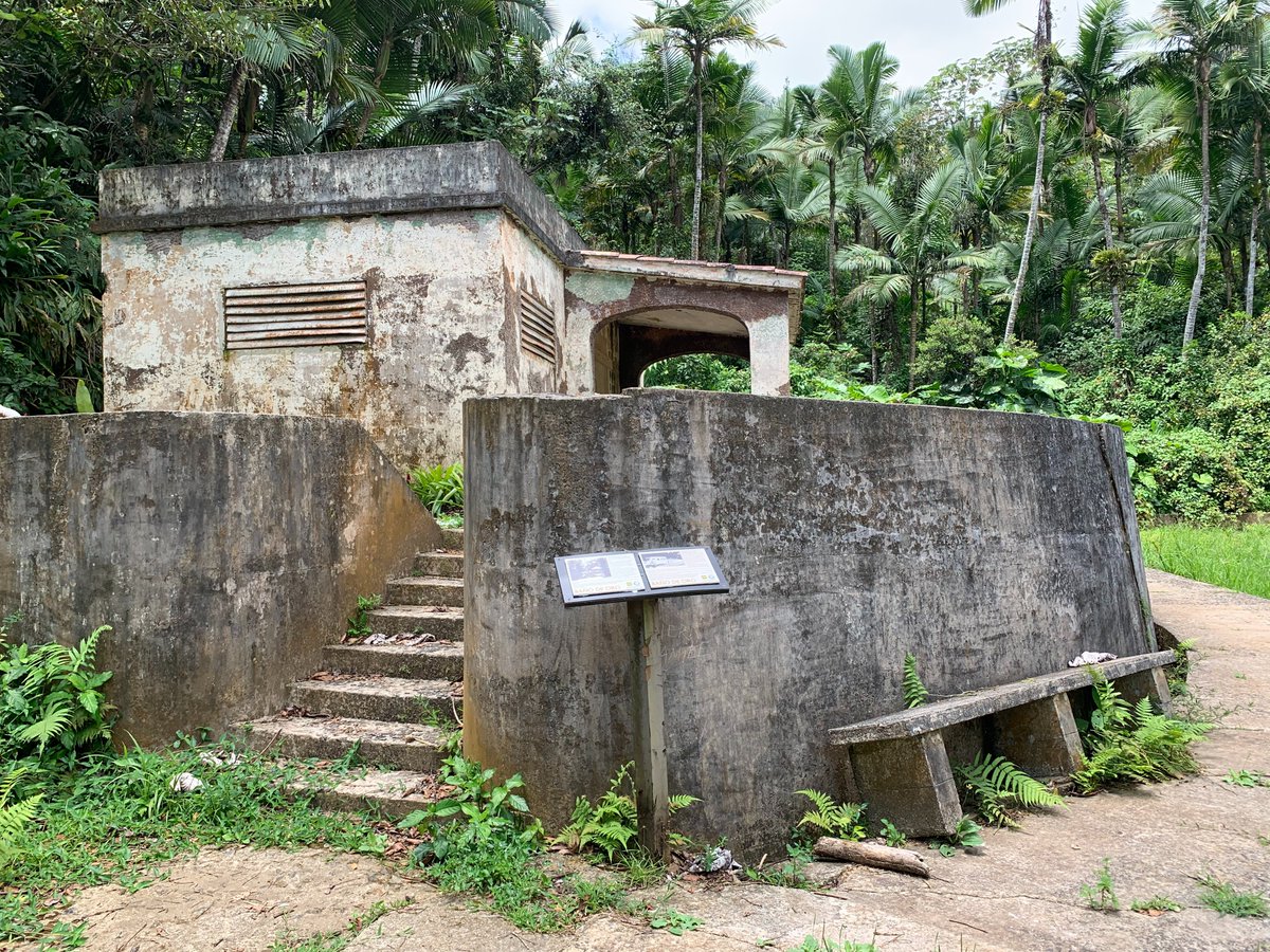 El Yunque NF tweet media