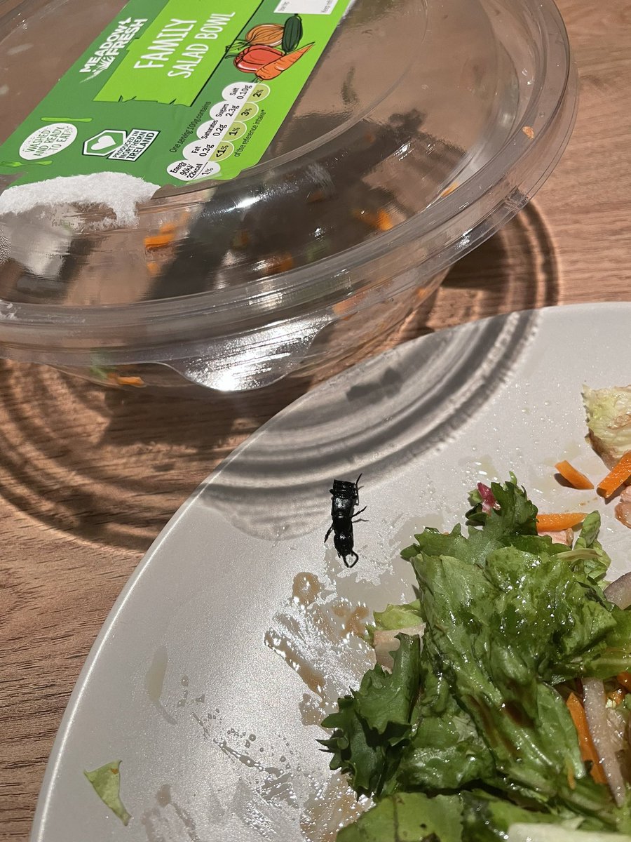 enricluna's tweet photo. Hey @lidl_ireland… all good??
Ffs, that’s disgusting… unexpected proteïn in your salad. 🤬🤬 https://t.co/R30msSdxdh