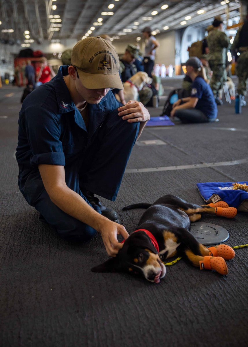 The dog of days of summer aren’t so bad when @MuttswaMission visits to provide a morale boost. 🐾 Animals are proven to be a form of stress relief, provide a sense of companionship and open up conversations about the importance of mental health. @GHWBCVN77 | @COMNAVAIRLANT11