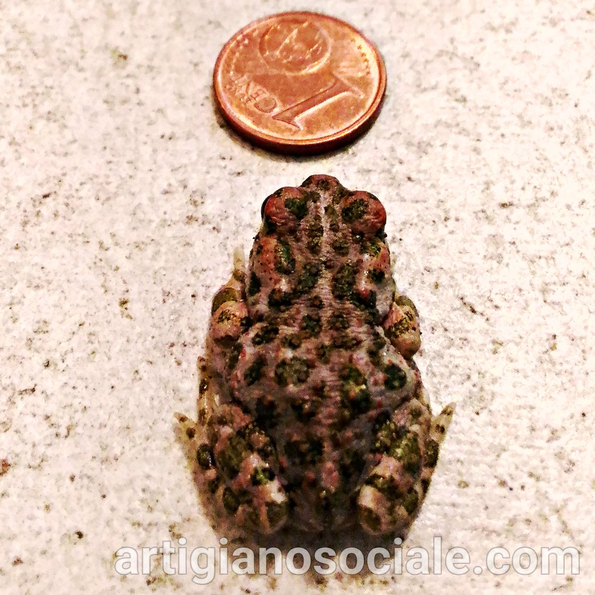 Chi crepa e lascia molto alle congreghe e ai frati fa dire a chi rimane: "eran quattrini rubati"

Sempre acuto #giannischicchi di #puccini nella scrittura del proprio #testamento specchio esemplare di #onestà 😎