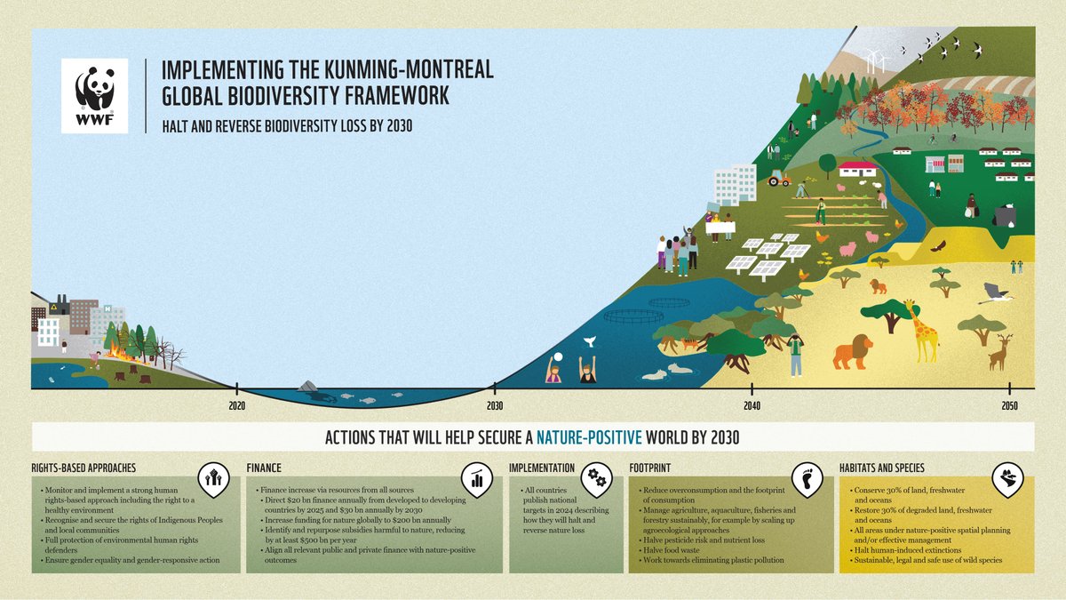 theGEF's tweet image. The Kunming-Montreal Global Biodiversity Framework (#KMGBF) commits countries to halt and reverse nature loss by 2030.

Now we must move from #AgreementToAction to secure a #NaturePositive world for all.  What does that include? Find out👇
via @NatureDeal