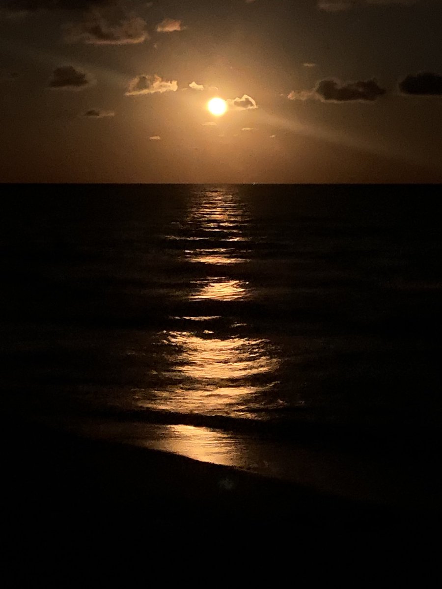 Caught Julys’ buck moon near the Gulf of Mexico. 
#supermoon #buckmoon #technology #StarGazers #iphone11 #nightmode