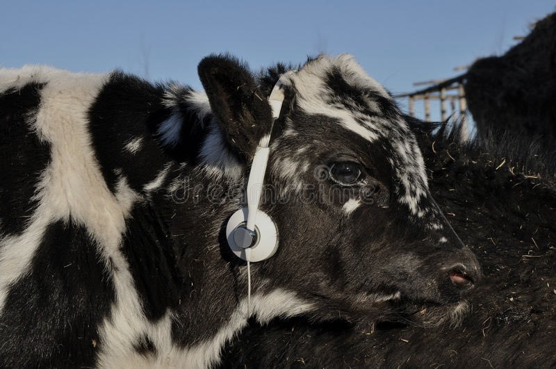 please don’t confront me with my failures. I had not forgotten them.