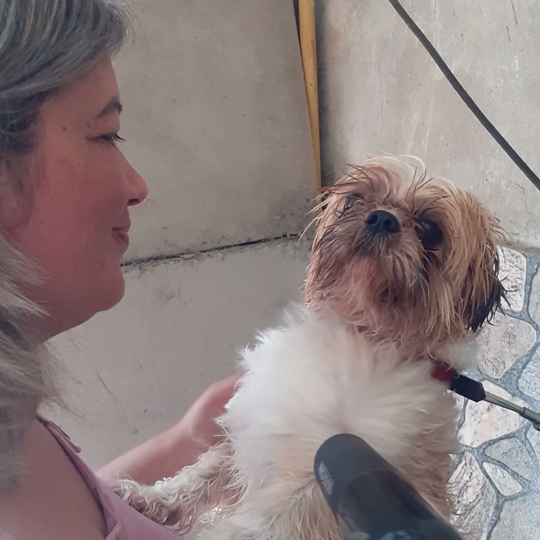 troopervesgo's tweet photo. Hj é niver do meu maior melhor amigo, brother e td mais! 6 anos de amor mais do que mereço!
Te amo #Billydog https://t.co/K4SPNXcqtU