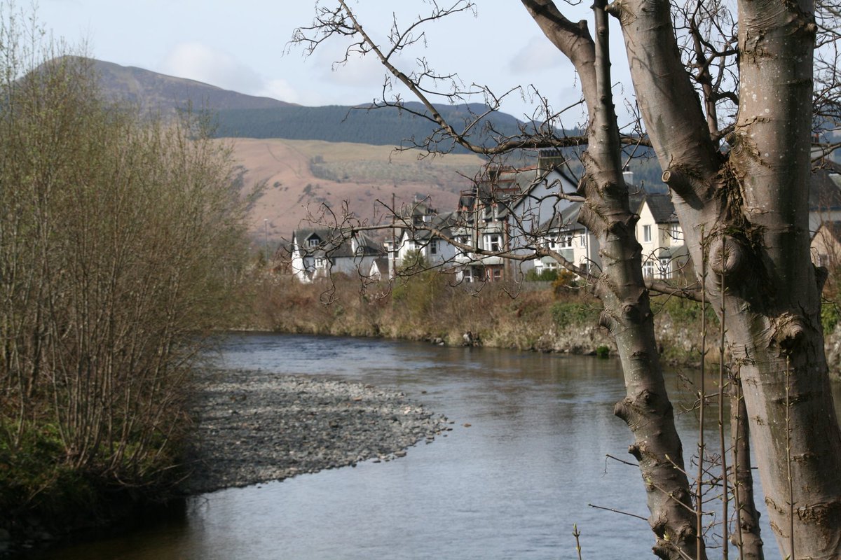 Max Pursley tweet media