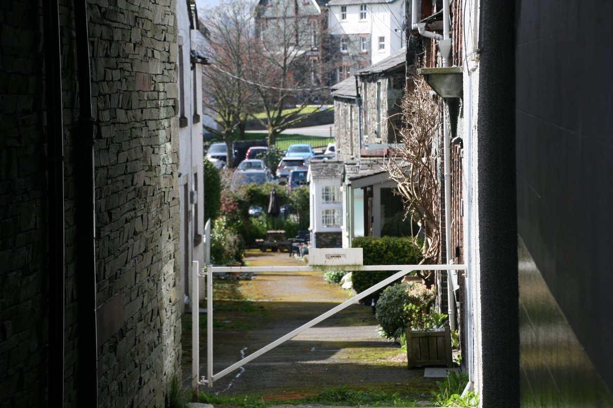 Max Pursley tweet media