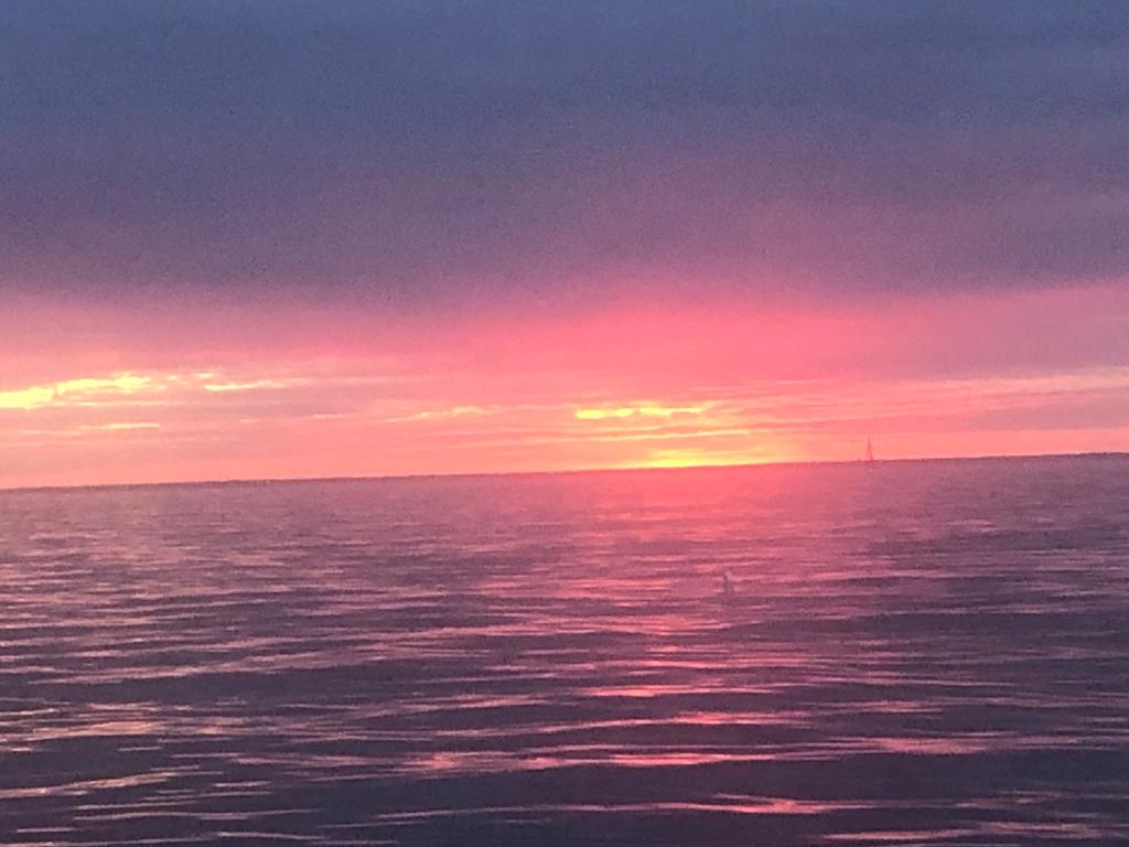 Le bateau comité vous souhaite une bonne nuit !
Bonne route à eux et à tous les concurrents...