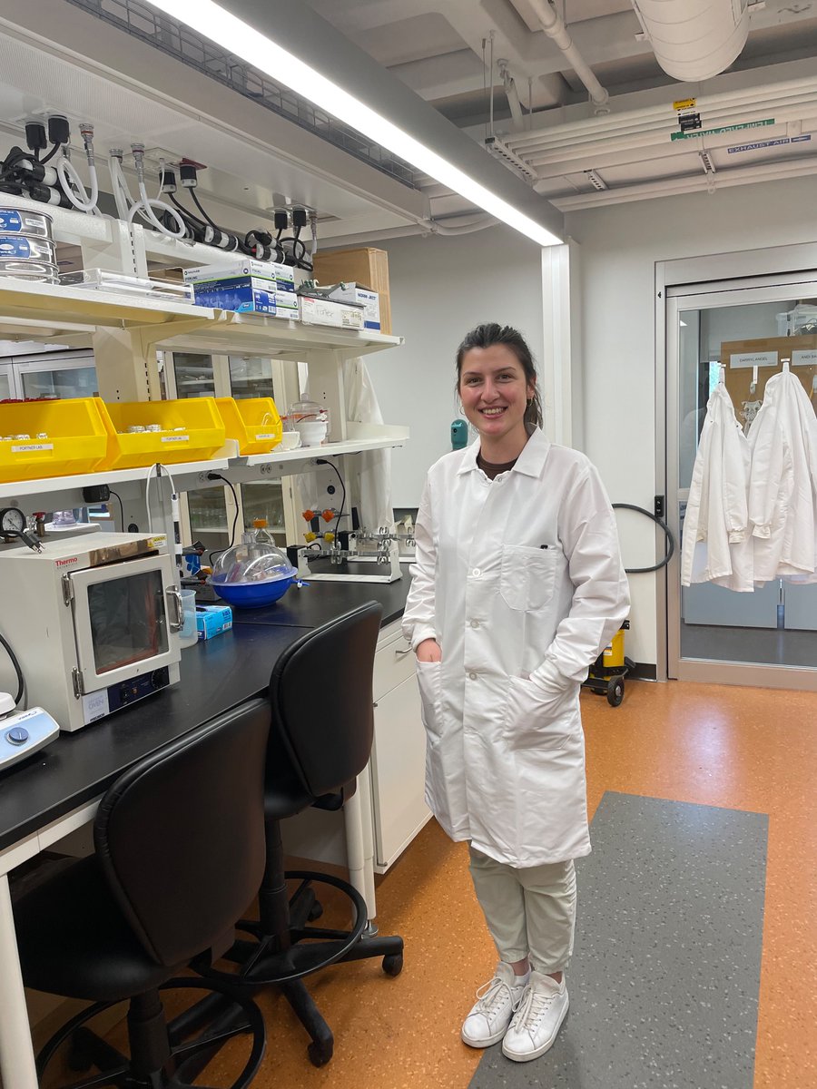 My PhD student Dilara Hatinoglu @ME_Engineering  is spending her summer semester at @YaleEnvEng  conducting research on superparamagnetism. We both are having a great experience thanks to our host @johnfortner and our sponsor @NSF