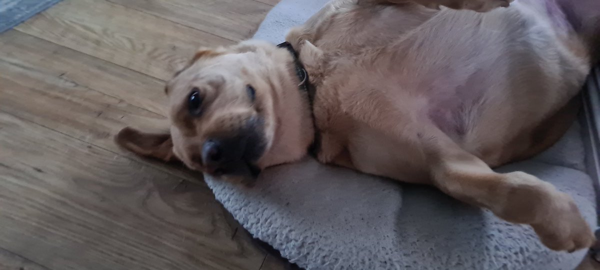 Helen Matthew tweet media