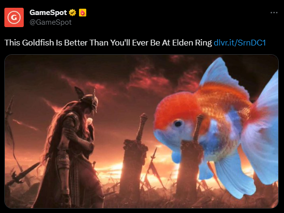 SYACVG's tweet photo. YouTuber PointCrow let his goldfish play Elden Ring and it beat the first phase of Malenia. https://t.co/AGKCg9DHF1